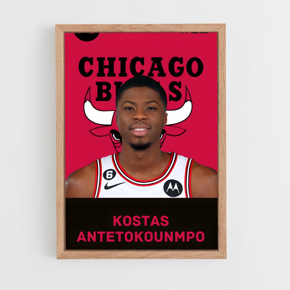 Poster Bulls en Force – affiche Basketball (vue 4)